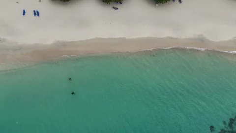 Top down drone perspective of Grand Anse Beach shore in Grenada. Crystal clear Stock Footage 337055646