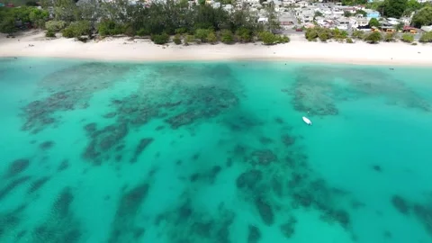 Top down drone perspective over transparent turquoise coral reefs and coastal Stock Footage 336695740