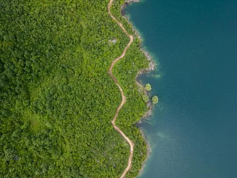 Top Down Drone Photo of Forest Meeting Turquoise Slansko Lake, Montenegro Stock Photos