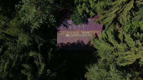 Top down drone reveal of secluded cabin hidden in green forest Stock Footage 340659397