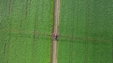 Top down drone rising over farmland Vidéo 329054844