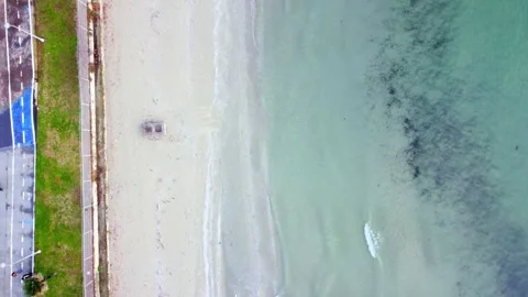 Top-Down Drone of Shoreline and Bird Movement in Turkey Stock Footage 314306570