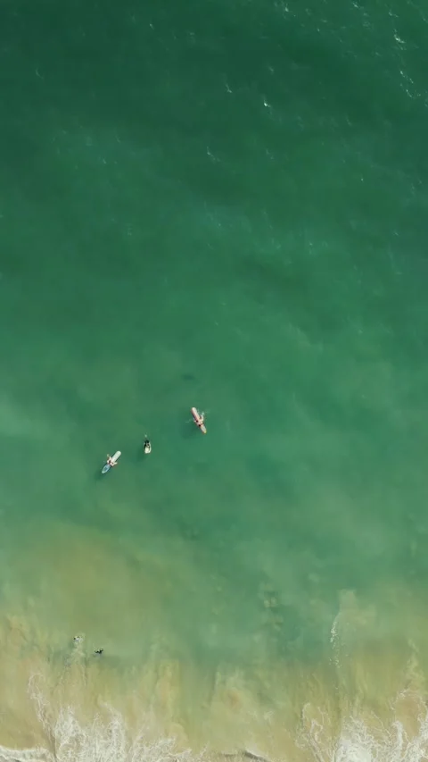 Top Down Drone Shot Beach Surfers 스톡 동영상 244178348