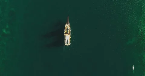 Top Down Drone Shot of Boat Crossing Tropical Ocean in Indonesia Video stock 330925573