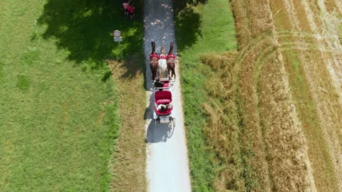 Top-down drone shot of carriage with three horses Stock Footage 318217833