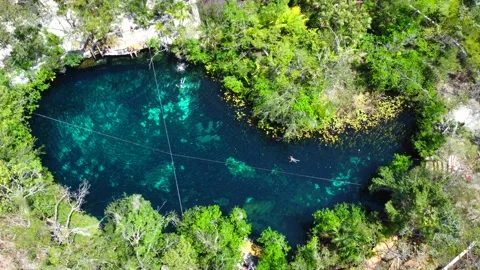 Top down drone shot of circular cenote surrounded by vegetation Stock-Footage 341358403