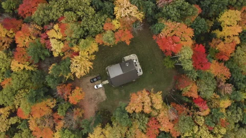 Top down drone shot of colorful trees in the middle of the forest Stock Footage 141505859
