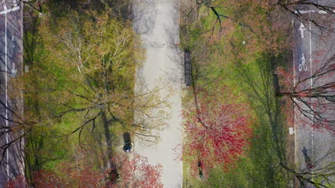 Top Down Drone Shot of Commonwealth Avenue Mall in Boston During The Summer Stock Footage 277915036