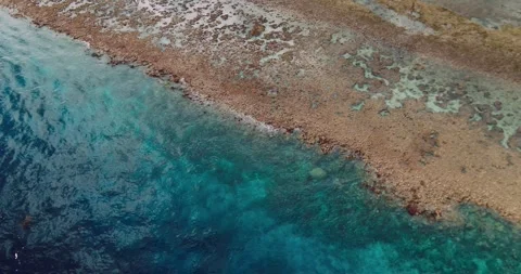 Top Down Drone Shot of Crystal Clear Tropical Shoreline Stock Footage 329142996