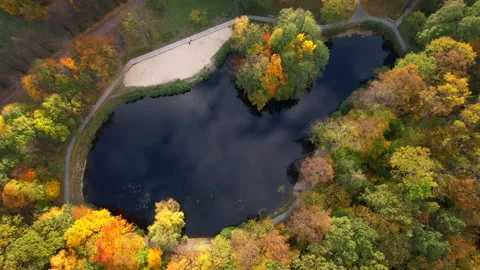 Top down drone shot descending over autumn pond. Vídeos de archivo 338281775