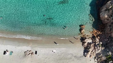Top-Down Drone Shot of Distant Crystal-Clear Beach with Soft Waves Vídeo Stock 334365196