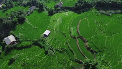 Top down drone shot flying forward over ... | Stock Video | Pond5