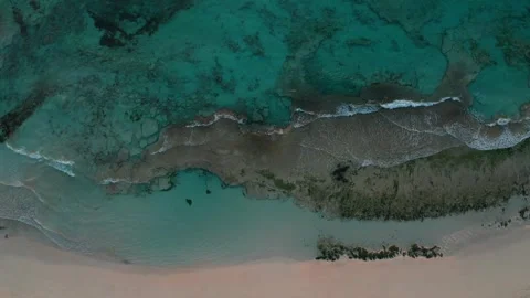 Top-down drone shot of gentle waves breaking on sandy beach Stock Footage 345521623