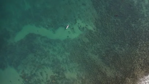 Top Down Drone Shot of Kayaker in Clear Malibu Ocean Water in 4K Stock Footage 331766988