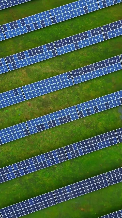 Top-down drone shot of long parallel solar panel rows forming clean geometric Stock Footage 325685438