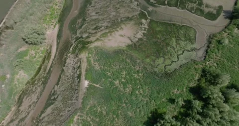 Top-down drone shot of a marsh Stock-Footage 314572470