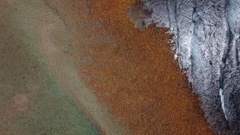 Top-Down Drone Shot Moving Along Coastline with Shallow Waters, Reflections, Roc Stock Footage 306311744