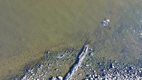 Top-down drone shot moving from rocky shore to sea in Montevideo Stock Footage 308759183