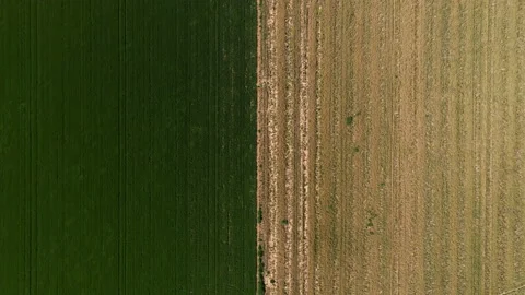 Top down drone shot over two fields, one with grass and the other soil. 4k Stock Footage 147148988
