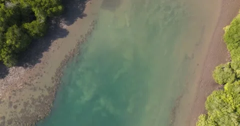Top-down drone shot over shallow lagoon channels and mangrove shoreline in West 스톡 동영상 331104416