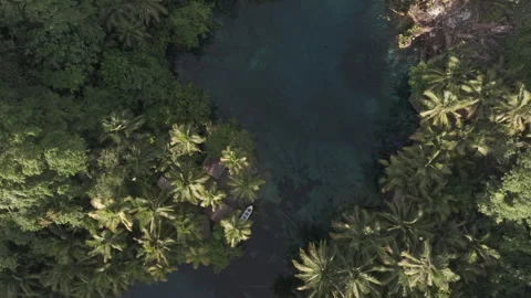 Top Down Drone Shot of Paisupok Lake  Tropical Blue Water I D Log M LOG Format Stock Footage 313520032
