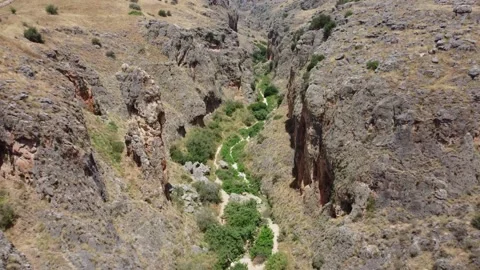 Top down drone shot revealing a hidden green oasis in a deep canyon. Stock Footage 154753584