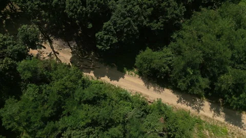 Top Down Drone Shot Rising Above Sheep on Forest Road in Serbia with Rotation Vídeos de archivo 332680340