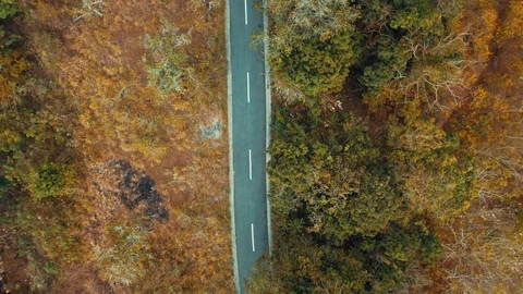 Top Down Drone Shot of Road on Dry Landscape at Nusa Penida, Bali - Indonesia Video stock 113820369