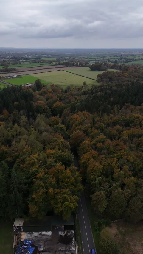 Top Down Drone Shot of Road Through Autumn Forest, Ireland Stock Footage 330899031