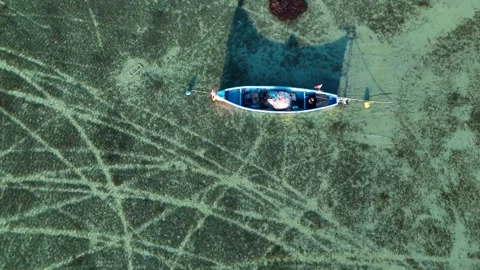 Top Down Drone Shot of Scratches and Patterns on a Lakebed Stock Footage 319341576