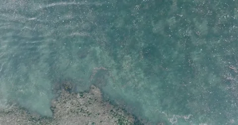 Top down drone shot of sewage water in ocean, Bali Indonesia Stock Footage 267515035