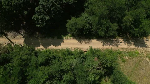 Top Down Drone Shot of Sheep Grazing Near Forest Road in Serbia Vídeos de archivo 332679162