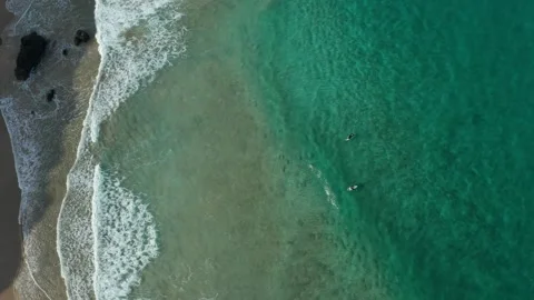 Top down drone shot of surfers waiting for a wave Stock Footage 345521666