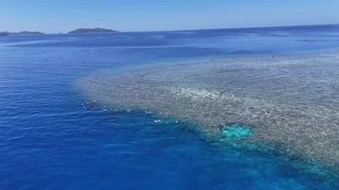Top-down drone shot of a vibrant turquoise coral reef and deep ocean drop-off. Stock Footage 325755522