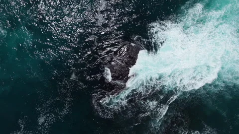 Top Down Drone Shot of Waves Crashing Over Rock in Atlantic Ocean Waters Stock Footage 330317578