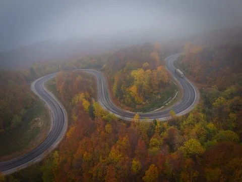 Top-down drone shot of the winding road winding through the autumn forest i.. Stock Photos