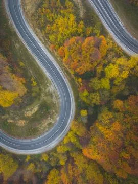 Top-down drone shot of the winding road winding through the autumn forest i.. Stock Photos