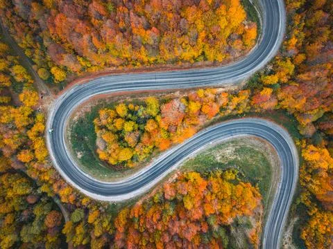 Top-down drone shot of the winding road winding through the autumn forest i.. Stock Photos