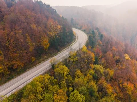 Top-down drone shot of the winding road winding through the autumn forest i.. Stock Photos