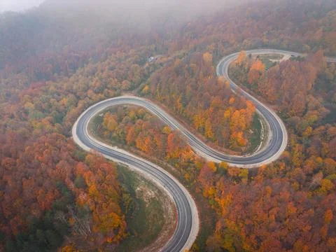 Top-down drone shot of the winding road winding through the autumn forest i.. Stock Photos