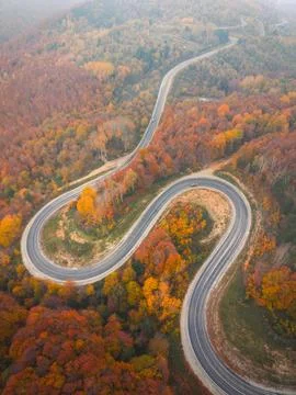 Top-down drone shot of the winding road winding through the autumn forest i.. Stock Photos