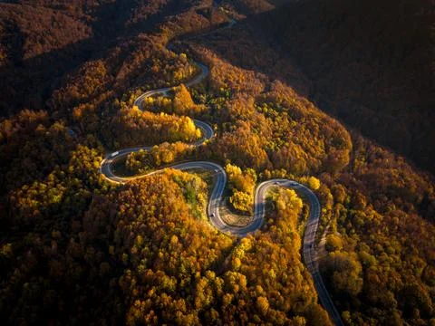 Top-down drone shot of the winding road winding through the autumn forest i.. Stock Photos