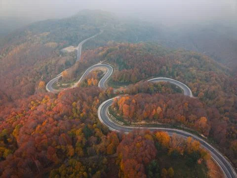 Top-down drone shot of the winding road winding through the autumn forest i.. Stock Photos
