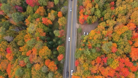 Top Down Drone Tracking Car Crossing Bridge Over Autumn River Stock Footage 321379199