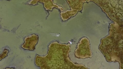Top-down drone tracking paraglider above lagoon and volcanic wetlands at 動画素材 344125349