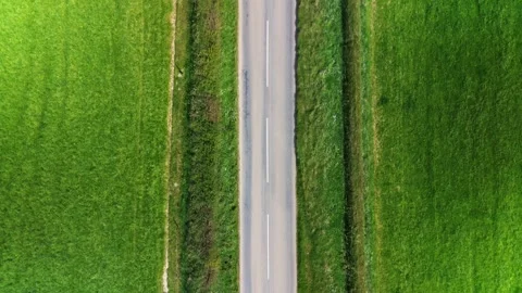 Top Down Drone Tracking Shot of Rural Country Road Through Green Fields Stock Footage 333515107