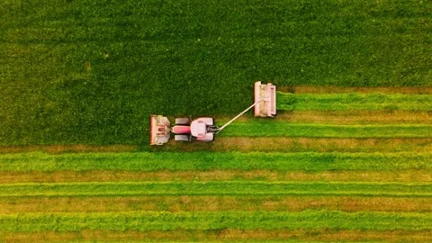 Top down drone tracking tractor mowing field leaving clean lines at sunset Stock Footage 335191267