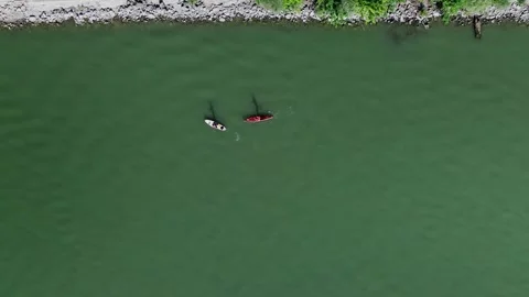 Top-Down Drone Tracking Two People Paddleboarding on River Stock Footage 313830680