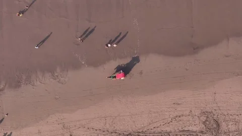 Top-down drone video showing a traditional horse-drawn cart moving parallel to Stock Footage 313466015