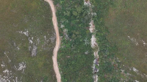 Top-Down Drone View of 7 Passes Hiking Trail Parallel to Stream, Western Cape Video stock 296578509
